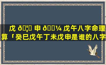 戊 🦄 申 🐼 戊午八字命理推算「癸巳戊午丁未戊申是谁的八字」